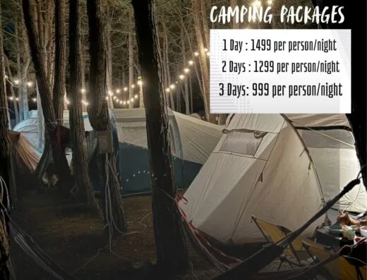 Sherpa Campsite Falcon Festival